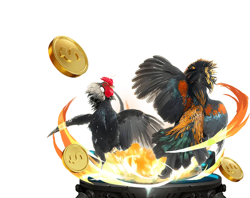 Hướng dẫn chơi okvip new88